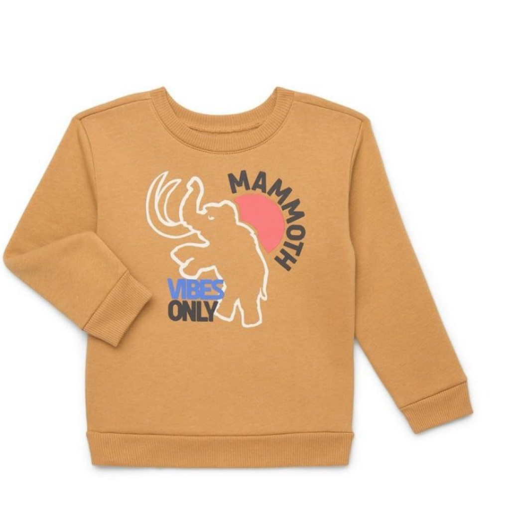 20260109_075151_0000