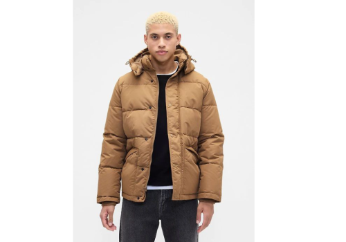 Untitled design_20251206_072033_0000