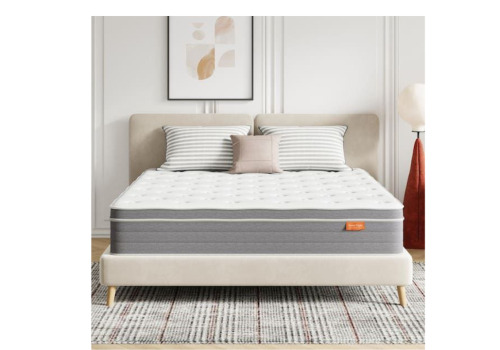 Untitled design_20260121_050345_0000